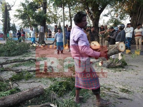 BJP Govt’s KALAHARI-SMART City plan erupts massive resentment with en-masse felling of trees across Agartala BJP Govt’s KALAHARI-SMART City plan erupts massive resentment with en-masse felling of trees across Agartala